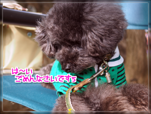 9P5031013.png