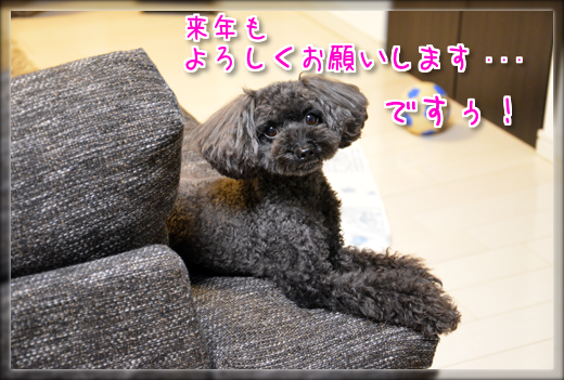 DSC_1052.png