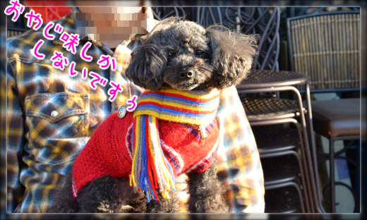DSC_13299.png