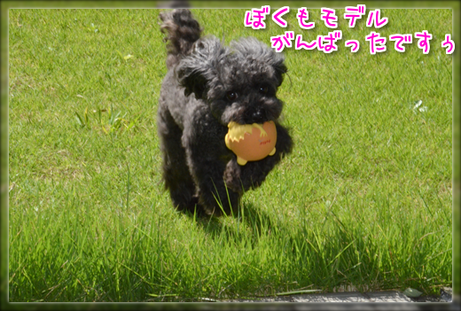 DSC_22028.png
