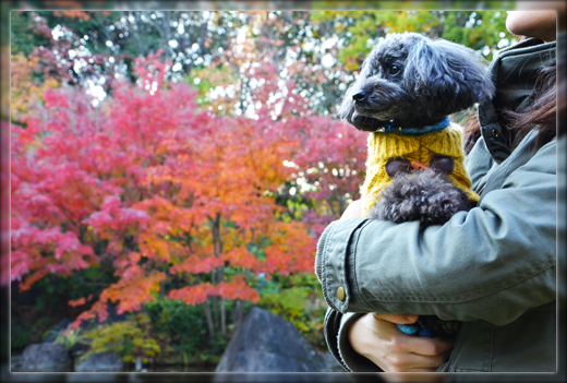 DSC_3061.png