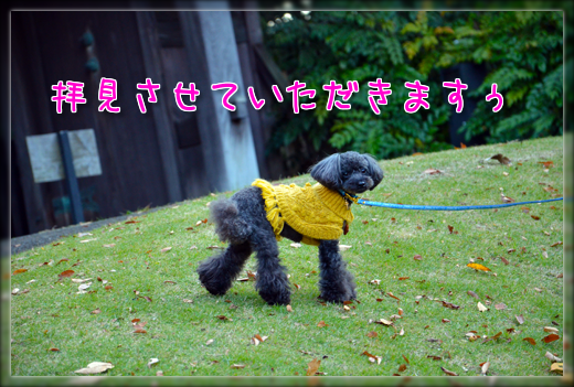 DSC_3080.png