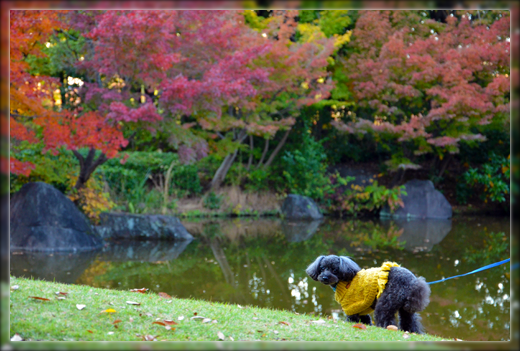 DSC_3083.png
