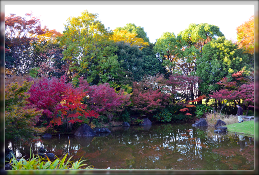DSC_3089.png