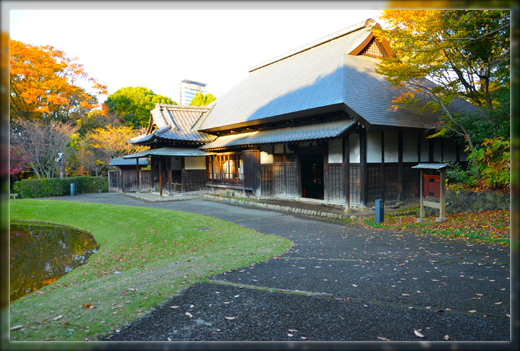 DSC_3096.png