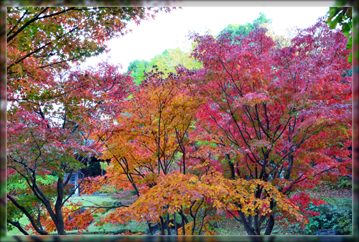 DSC_3115.png