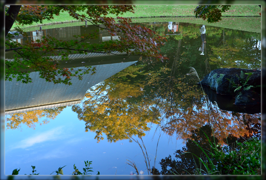 DSC_3116.png