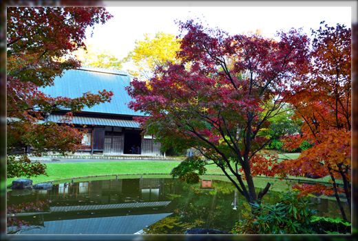 DSC_3118.png