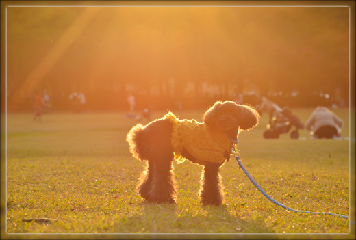 DSC_3162.png