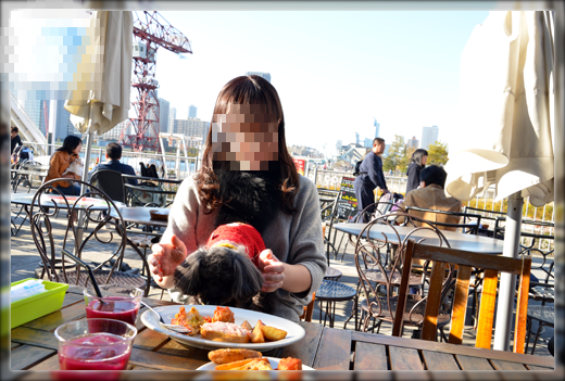 DSC_3243.png