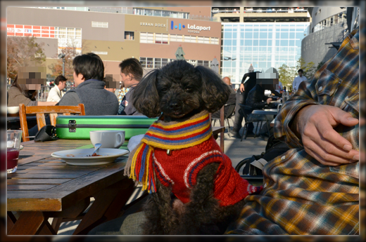 DSC_3273.png