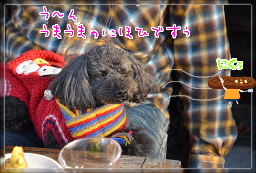 DSC_3276.png