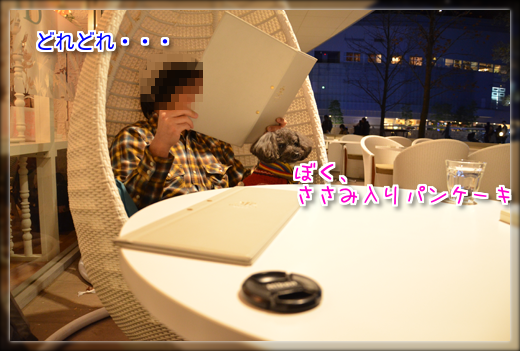 DSC_3516.png