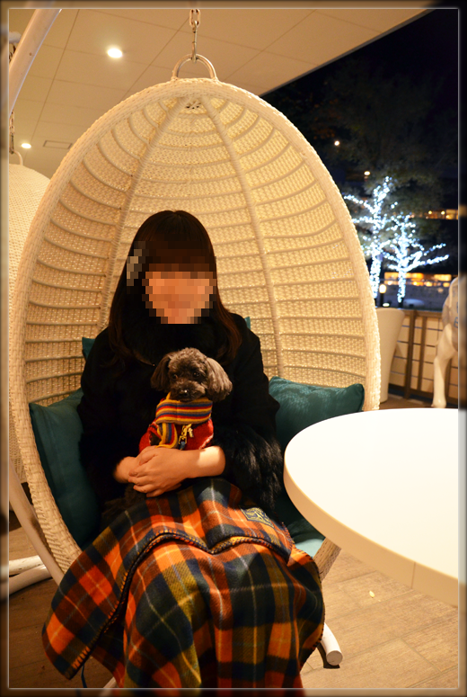 DSC_3535.png