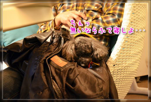 DSC_3579.png