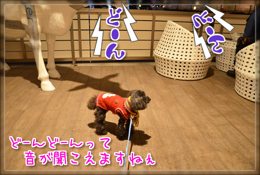 DSC_3584.png