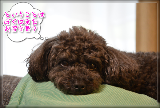 DSC_9507.png