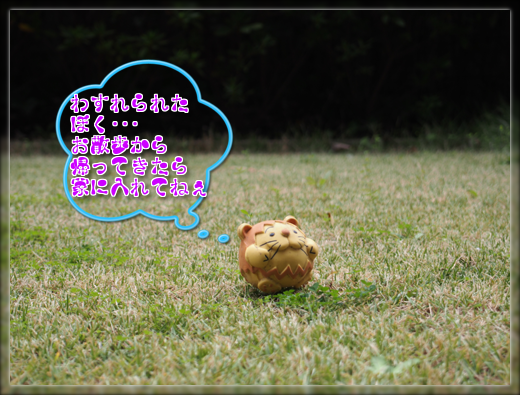 PB100339.png