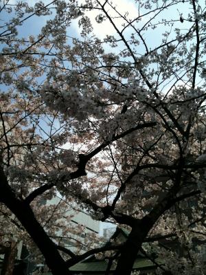 IMG_3507.jpg