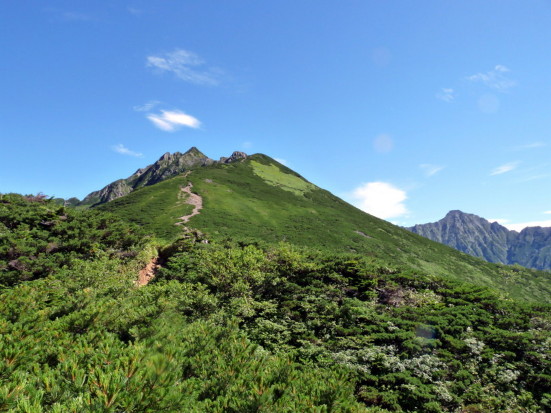 P1020330.jpg
