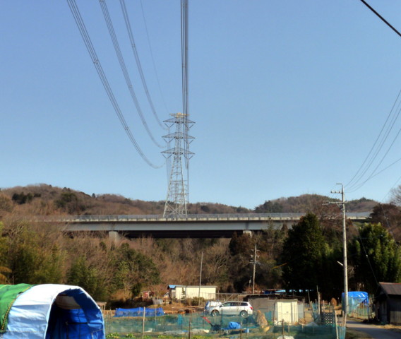 P1090593.jpg