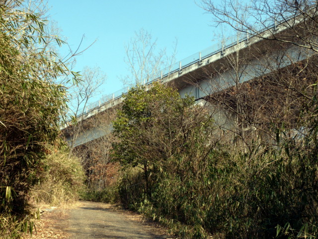 P1090594.jpg