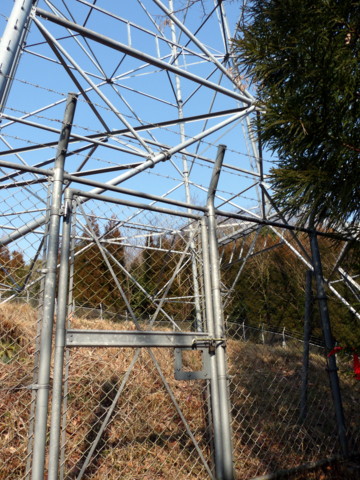 P1090598.jpg