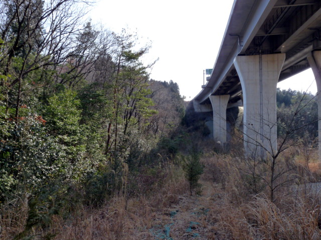 P1090599.jpg