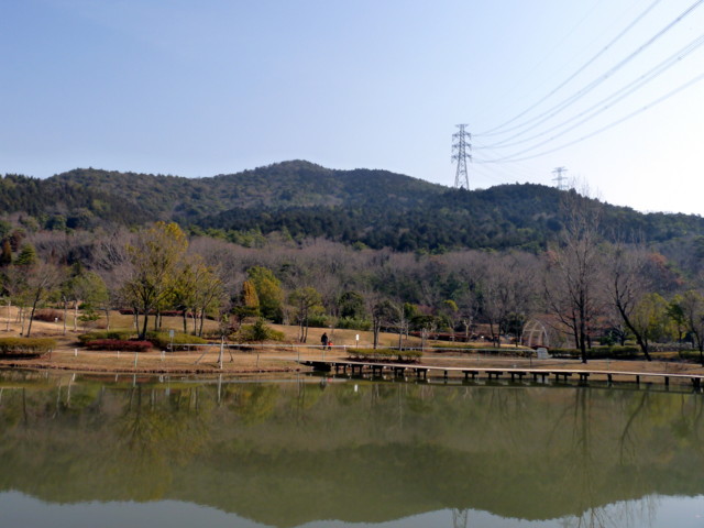 P1090603.jpg