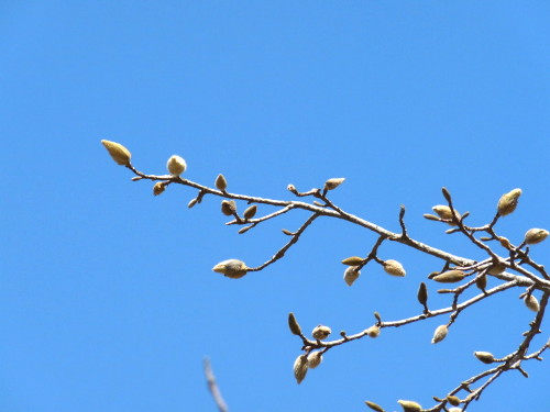 P1090758.jpg