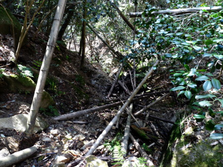 P1090834.jpg