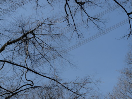 P1090837.jpg