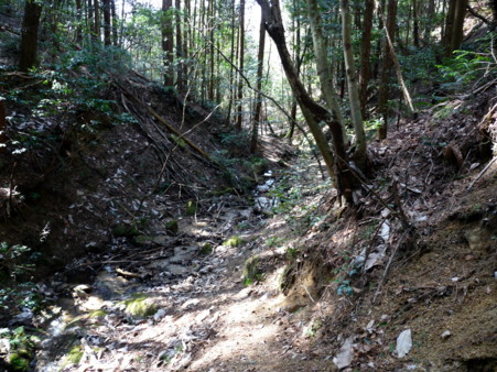 P1090842.jpg
