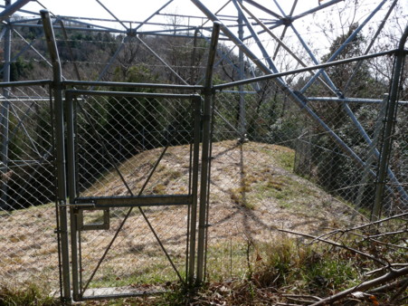 P1090847.jpg