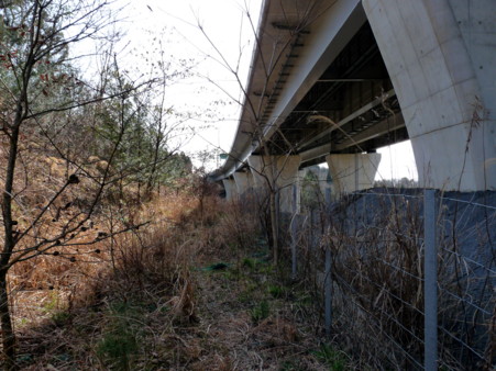 P1090849.jpg