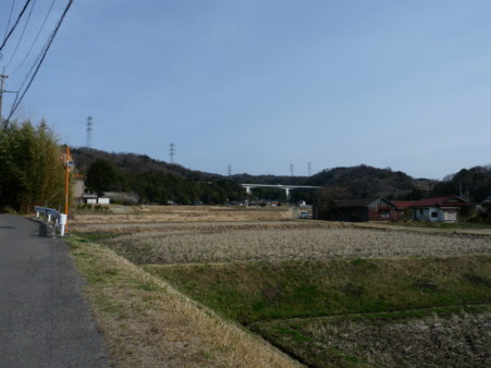 P1090858.jpg
