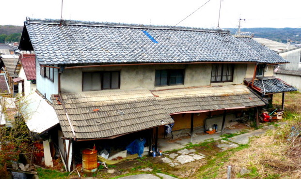 P1090880.jpg