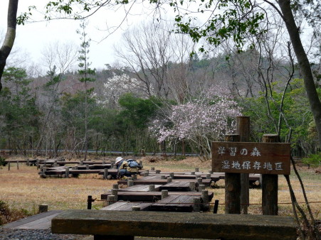P1090890.jpg