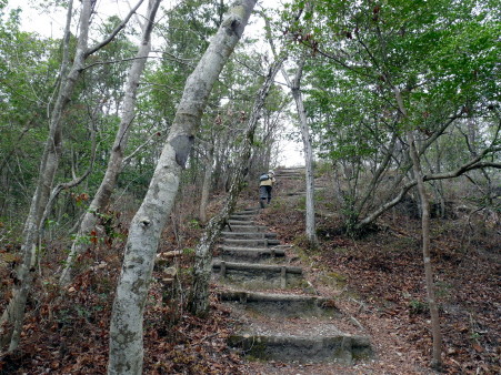 P1090897.jpg
