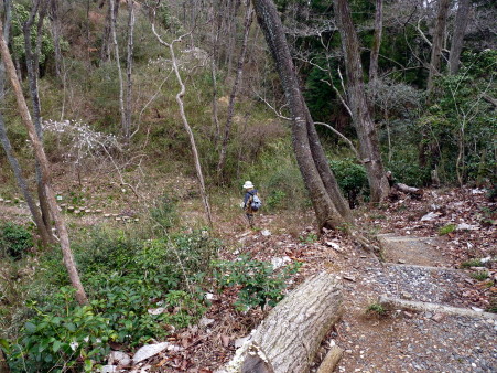P1090906.jpg