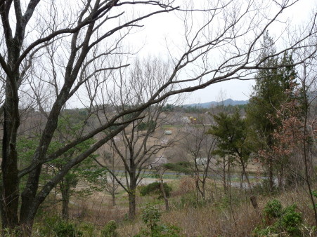 P1090922.jpg