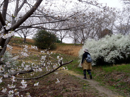 P1090926.jpg