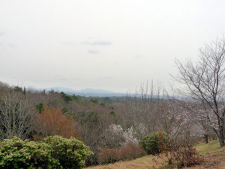 P1090931.jpg