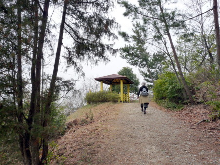 P1090933.jpg
