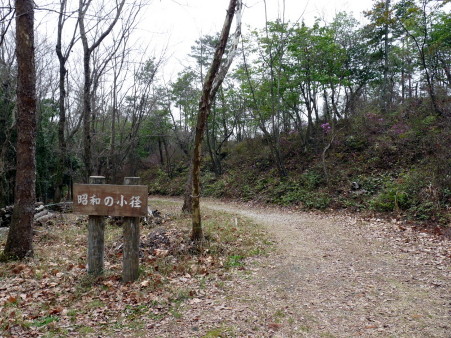 P1090936.jpg