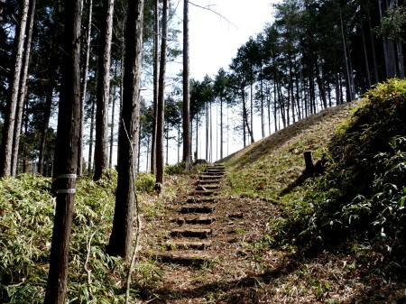 P1090971_001.jpg