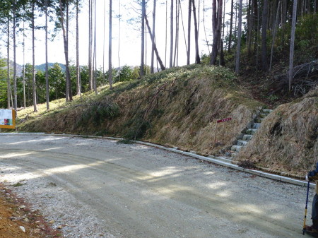 P1090972_001.jpg