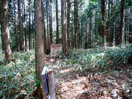 P1090976_001.jpg