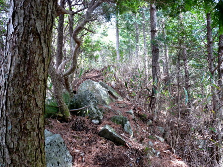 P1090990_001.jpg