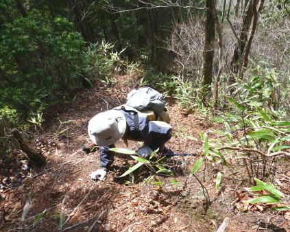 P1090995_001.jpg